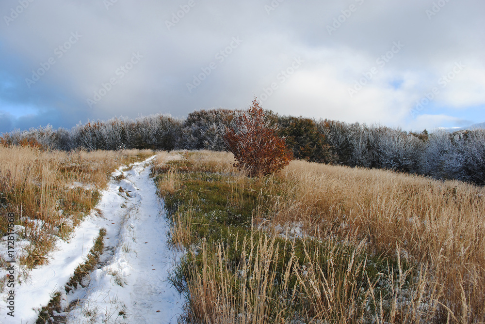 Early snow in the fall. Bieszczady. Poland. Early snow in the fall. Bieszczady. Poland.