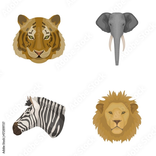 Tiger, lion, elephant, zebra, Realistic animals set collection icons in cartoon style vector symbol stock illustration web.