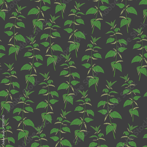 Botanical seamless pattern with stinging nettle on dark background. Blooming herbaceous plant with yellow flowers and leaves hand drawn in vintage style. Natural vector illustration for wallpaper.