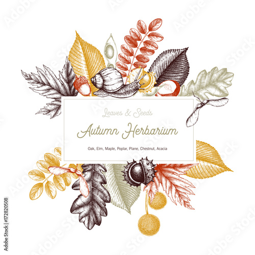 Vintage card design with bird. Hand drawn leaves and seeds illustration. Vector autumn template. Wedding invitation. 
