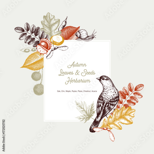 Vintage card design with bird. Hand drawn leaves and seeds illustration. Vector autumn template. Wedding invitation. 