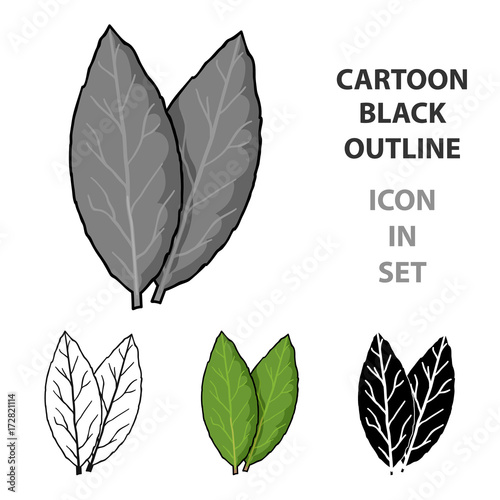 Laurus icon in cartoon style isolated on white background. Herb an spices symbol stock vector illustration.