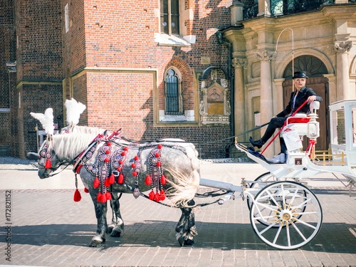 Girl in the carriage, jockey. The carriage in the old town © Serge Touch