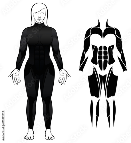 Wetsuit - woman in black diving suit, and abstract black figure or icon of the largest female muscles - isolated vector illustration on white background.
