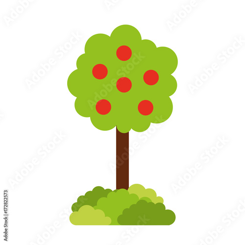 tree with fruit natural forest environment concept vector illustration