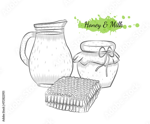 Isolated hand drawn vector illustration of milk and honey