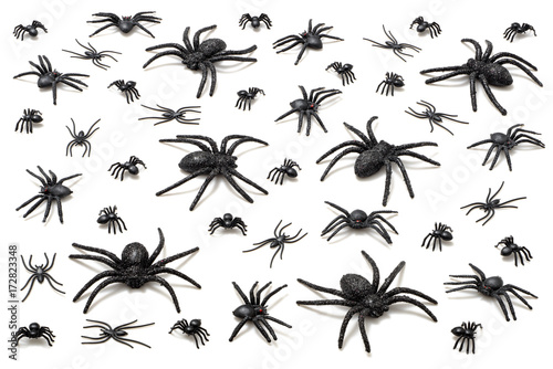 Halloween spiders isolated on white