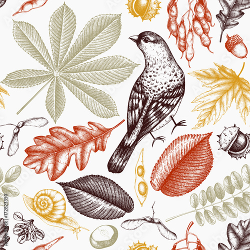 Seamless pattern with hand drawn leaves and seeds sketch. Vector autumn background. Vintage bird illustration.