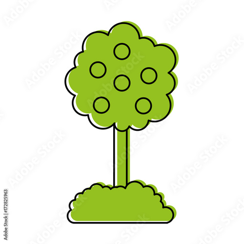 tree with fruit natural forest environment concept vector illustration