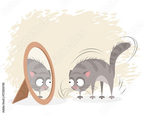 Cat and mirror