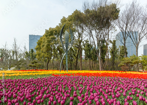 Wallpaper Mural Tulip. Beautiful field garden of tulips. colorful tulips. tulips Torontodigital.ca