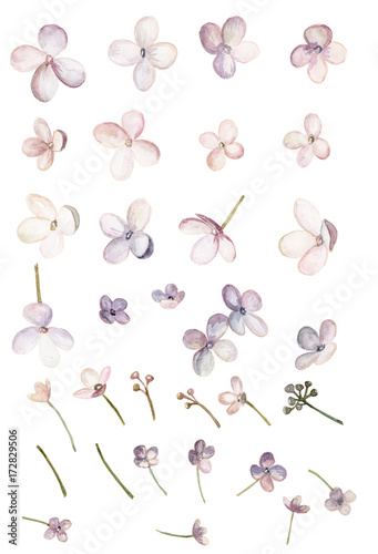 Pink flowers, 33 isolated elements