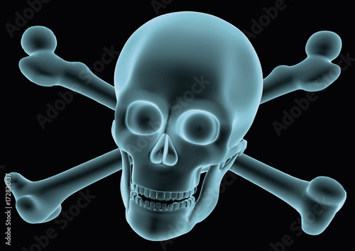 skull and cross bones pirate flag jolly roger