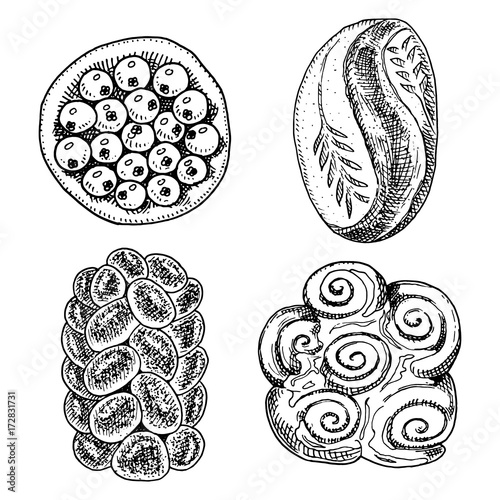 bread and pastry donut, fruit pie. cupcake and sweet bun or long loaf and cake. engraved hand drawn in old sketch and vintage style for label and menu bakery shop. organic food.