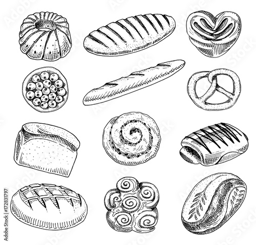 bread and pastry donut, long loaf and fruit pie. sweet bun or croissant, bagels and toasts. engraved hand drawn in old sketch and vintage style for label and menu bakery shop. organic food.