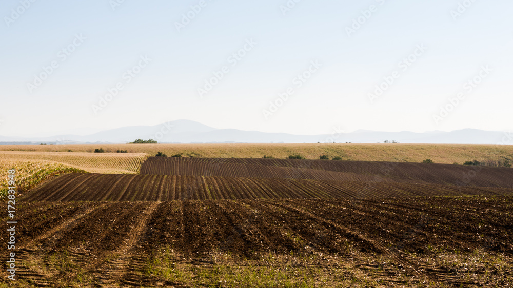 Wavy ploughed fields