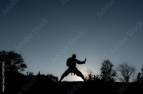 Martial Artists Silhouette - Double Knife Block photo