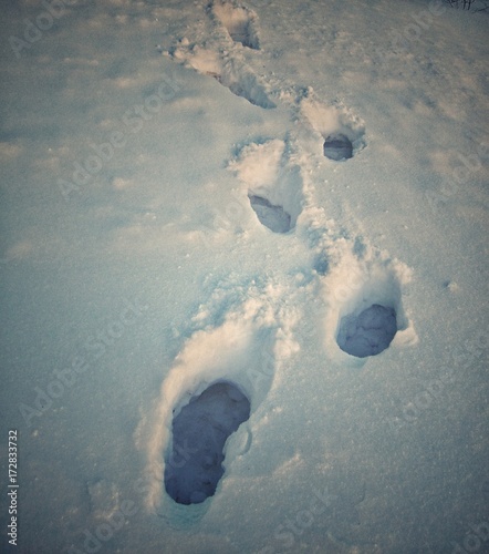 Следы в сугробе