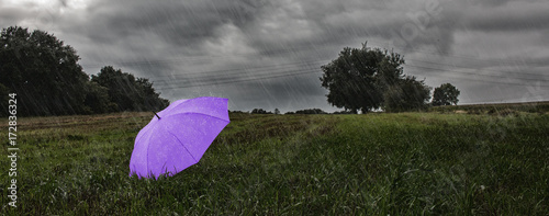 ein regenschirm mit regen auf einem feld photo