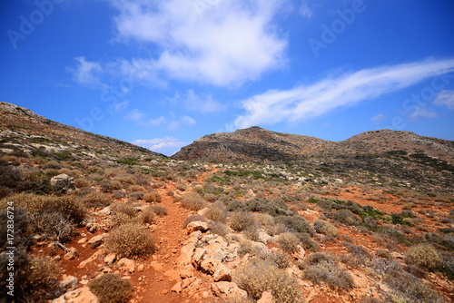 Desert landscape