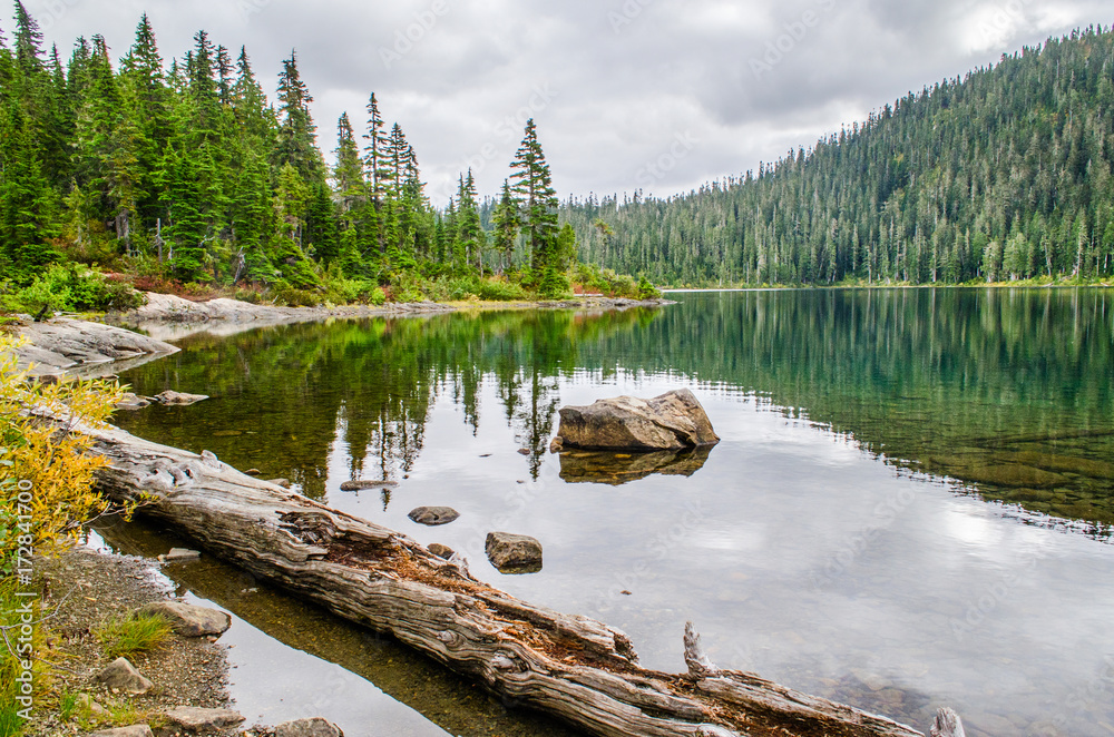 Lake Helen macKenzie, Strathcona National Park, vancouver Island BC, reflections of tree line