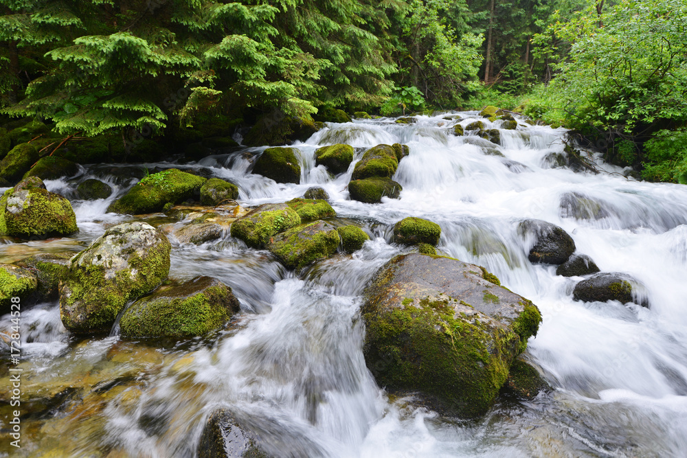 creek in mountain creek in mountain
