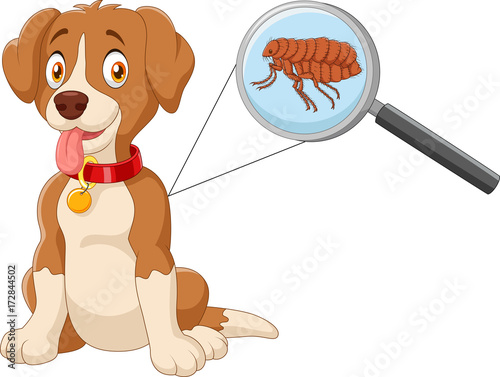 Vector illustration of flea Infested Dog