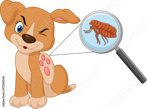 Vector illustration of flea Infested Dog