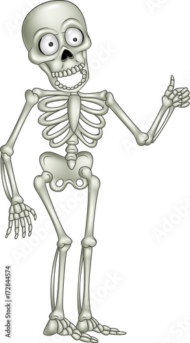 Cartoon skeleton giving thumb up