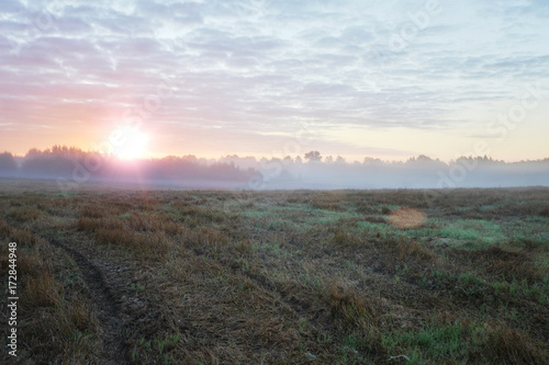 Sunrise in fields