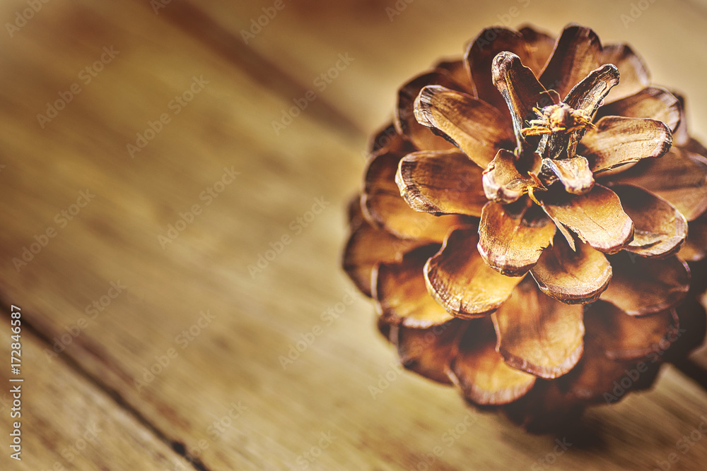 Big Pine Cone on Plank Aged Wood Background. Warm Color Toned Image. Christmas New Year Greeting Card Poster Template. Winter Autumn. Copy Space for Text. Big Pine Cone on Plank Aged Wood Background. Warm Color Toned Image. Christmas New Year Greeting Card Poster Template. Winter Autumn. Copy Space for Text.