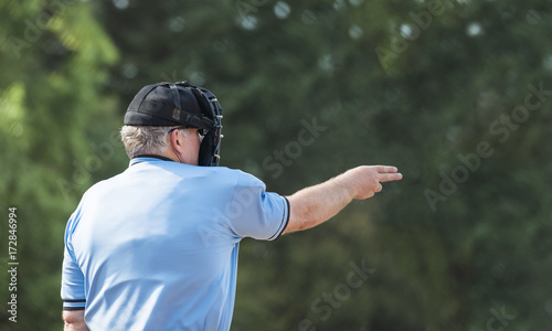 Umpire isolated on green background calls strike