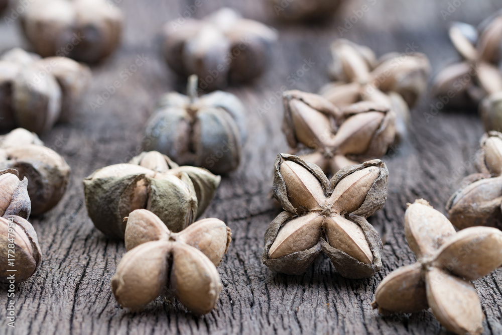 sacha inchi, sacha peanut, mountain peanut, Inca nut or Inca-peanut sacha inchi, sacha peanut, mountain peanut, Inca nut or Inca-peanut