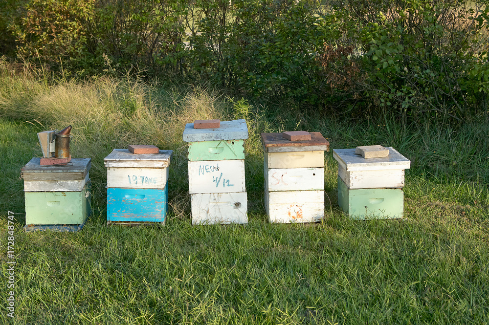 Honey bee farming boxes and bee-keeping equipment Honey bee farming boxes and bee-keeping equipment