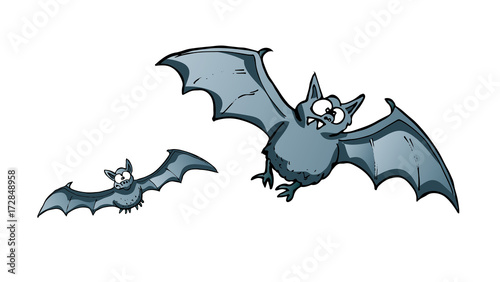 bats