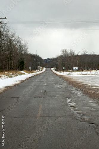 Asphalt road surrounded by leafless forest