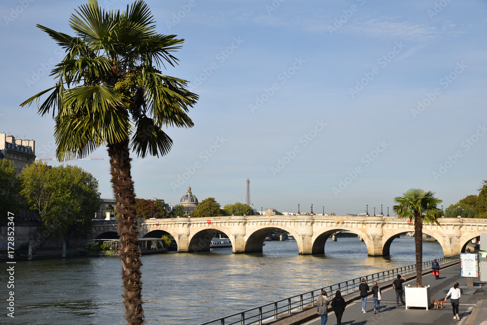 Balade sur les quais de Seine devant le pont Neuf à Paris, France