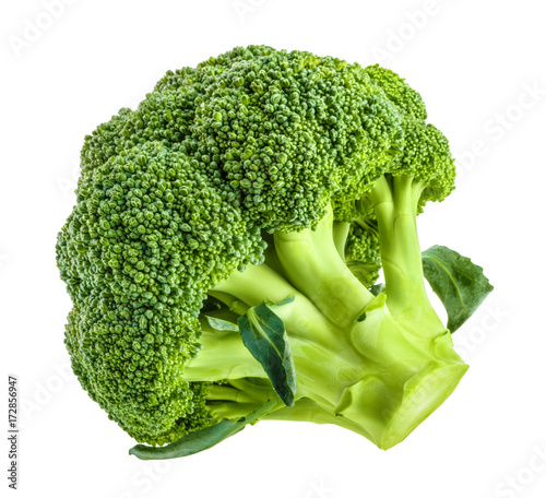 Fresh broccoli isolated on white without shadow