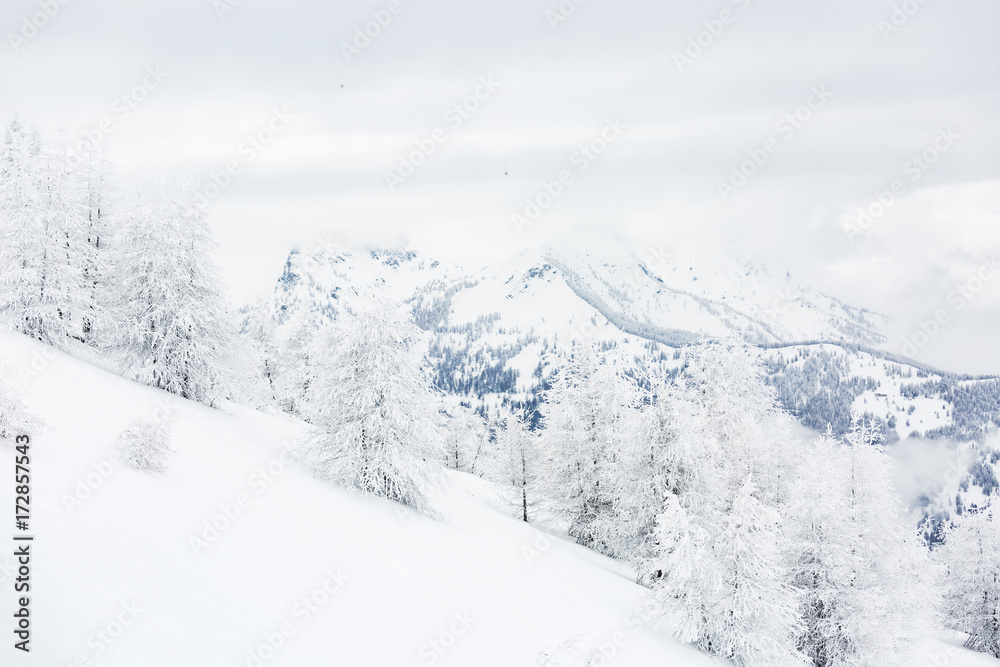 Winter landscape photo of a nearly completely white scenery, with trees and mountain tops covered with snow.