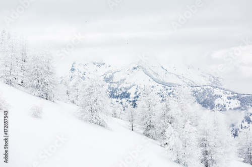Winter landscape photo of a nearly completely white scenery, with trees and mountain tops covered with snow.