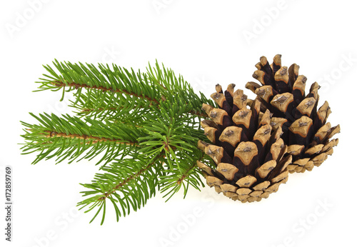 Two pine cones and fir tree branches on a white background, Christmas decoration