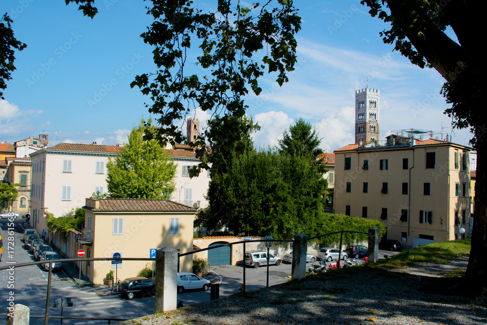 Fototapeta premium Lucca Cathedral of St. Martin and bell tower, Italy