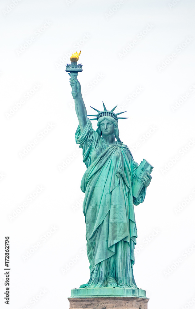 Fototapeta premium The Statue of Liberty in New York City Downtown