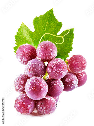 Obraz na plátně Pink wet grapes bunch isolated on white background