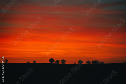 Fototapeta Naklejka Na Ścianę i Meble -  Silhouettes of trees on the background of the red sky
