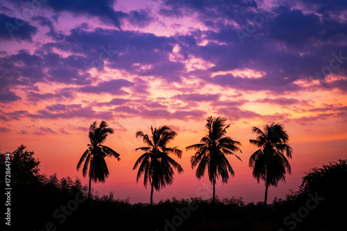 Silhouette Summer Tropical Coconut Palm Tree with Twilight Sky in Early Morning - Nature Background