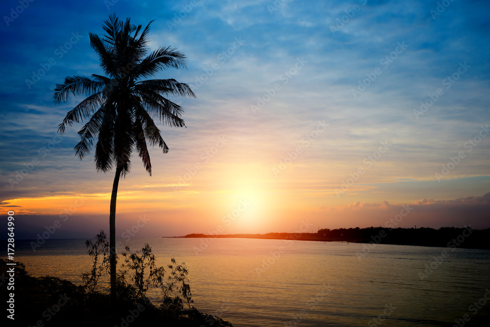 Silhouette Tropical Sunset with Coconut Palm Trees on the Beach in Summer - Nature Background