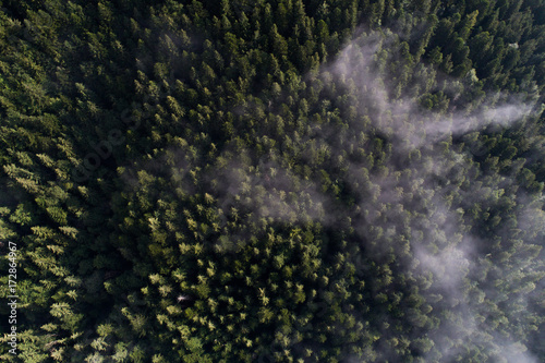 Aerial view of Carpathian mountains. Ukraine, Europe. Concept ecology protection. Top view