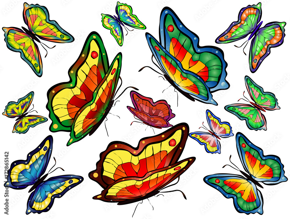 Twelve colorful bright butterflies Twelve colorful bright butterflies