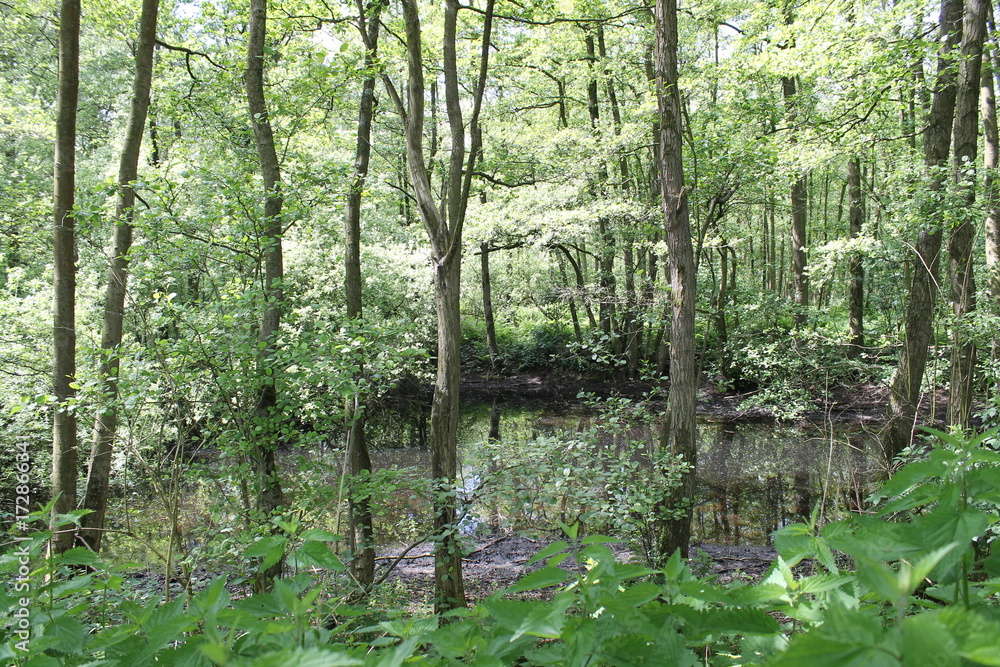 molsbroek molsbroek